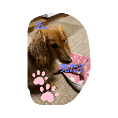 [LINEスタンプ] 杏の気持ち その1