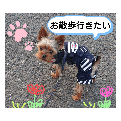 [LINEスタンプ] miro.fam