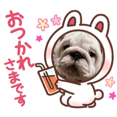[LINEスタンプ] 月と太陽のブルドッグ姉妹