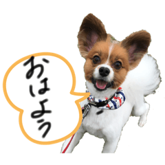 [LINEスタンプ] もぐち日常