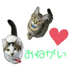 [LINEスタンプ] ふぅ＆らぃ