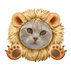 [LINEスタンプ] アメリカンカールのれおたんスタンプ