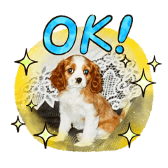 [LINEスタンプ] lovely Marble“CavalierK.C.Spaniel”