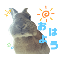 [LINEスタンプ] 日々こまめ