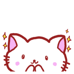 [LINEスタンプ] かわいい白猫にゃんこ日常スタンプ