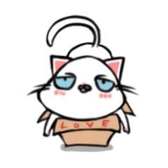 [LINEスタンプ] 箱猫 いつもいっしょ