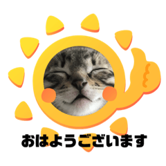 [LINEスタンプ] 敬語ねこねこ