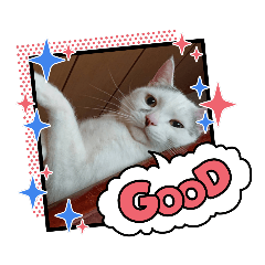 [LINEスタンプ] やんちゃなゴマ