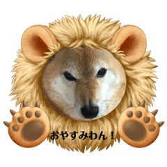 [LINEスタンプ] まめしばすたんぷ