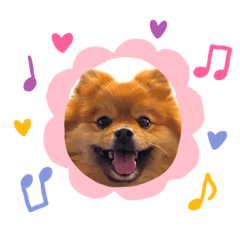 [LINEスタンプ] こはなひめスタンプpart2
