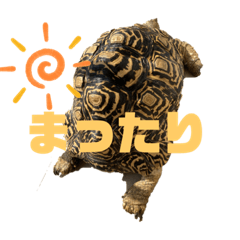 [LINEスタンプ] 大好きな仲間♡2