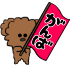 [LINEスタンプ] かわいい犬（トイプードル）が話します