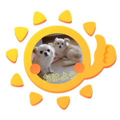 [LINEスタンプ] ピピ.ピコすたんぷ！