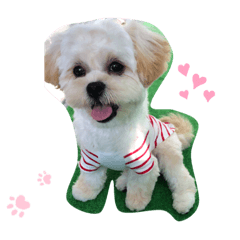 [LINEスタンプ] 我が家のぷりぷりぷりん