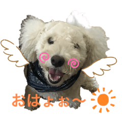 [LINEスタンプ] 愛犬ポテト君