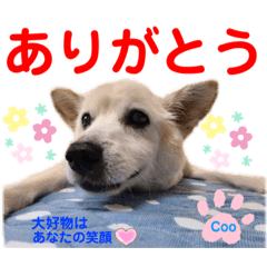 [LINEスタンプ] 赤いりぼんの可愛い仲間達⑤
