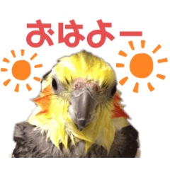 [LINEスタンプ] ちろぴーすけぷぅ2