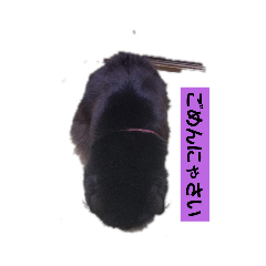 [LINEスタンプ] にんざぶろう。ろくっ