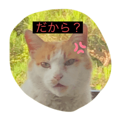 [LINEスタンプ] 個人的に面白いスタンプ