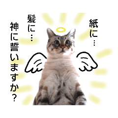 [LINEスタンプ] 天使ネコさんの画像（メイン）