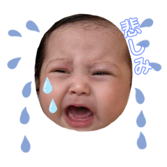 [LINEスタンプ] 凛たんふぁみりー