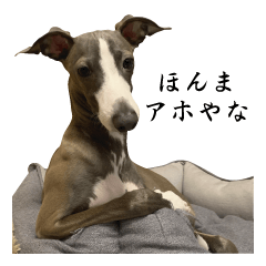 [LINEスタンプ] イタグレのばななのスタンプver2