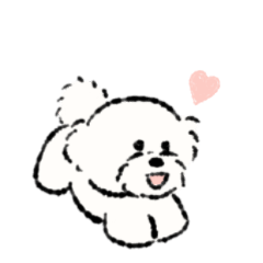 [LINEスタンプ] ビションフリーゼ 白くてふわふわの犬