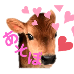 [LINEスタンプ] 牛過ぎるスタンプ2