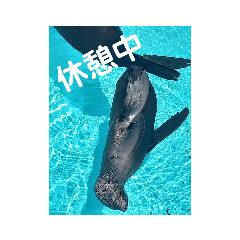 [LINEスタンプ] ぎょ！ぎょ！魚！