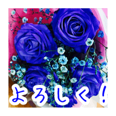 [LINEスタンプ] バラのお花（薔薇、ばら）