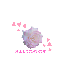 [LINEスタンプ] 薔薇のひとこと