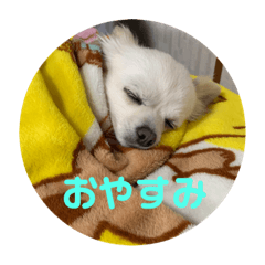 [LINEスタンプ] 癒しのななの日常