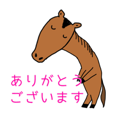 [LINEスタンプ] ウマによるウマのためのスタンプ