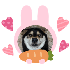 [LINEスタンプ] maroとan❤️