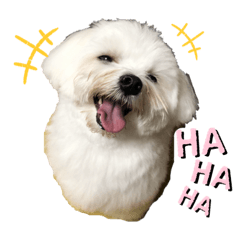 [LINEスタンプ] ぼくぱん