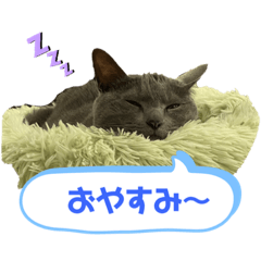 [LINEスタンプ] かめちゃんちのべるたん