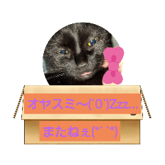 [LINEスタンプ] 黒猫キキちゃんPart2♥