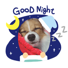 [LINEスタンプ] もぐ日常
