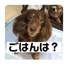 [LINEスタンプ] 三男と長女