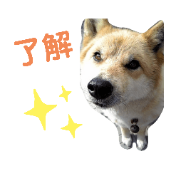 [LINEスタンプ] 海、空