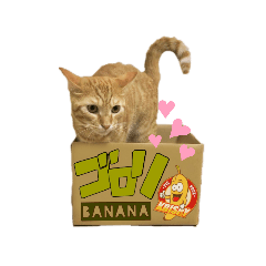 [LINEスタンプ] ごろごろゴロリ