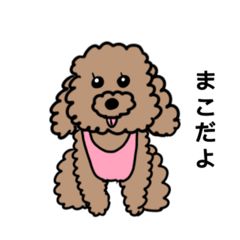 [LINEスタンプ] 我が家のアイドル犬まこちゃんスタンプ