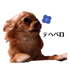 [LINEスタンプ] チワワ一族②