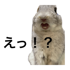 [LINEスタンプ] 動物色々スタンプ①