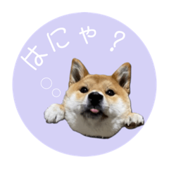[LINEスタンプ] 舌ぺろむぎ茶 simple × big ver.