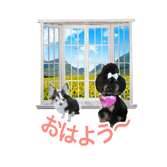 [LINEスタンプ] 姫ちゃんとモコちゃんの日常スタンプ