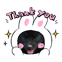 [LINEスタンプ] くーちゃんのにちじょー