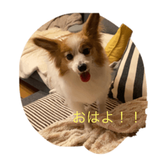 [LINEスタンプ] ぽろんくん