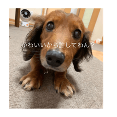 [LINEスタンプ] ランわーるど