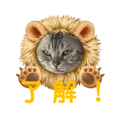 [LINEスタンプ] 実用性まるたゃ。